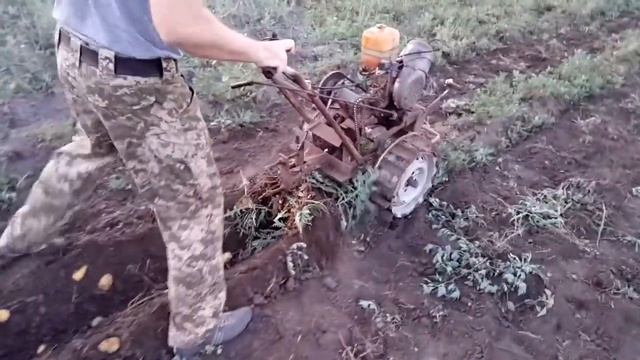 коп картофеля им же） смотреть онлайн
