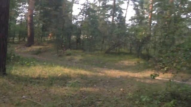 Vlog/Нижний Новгород/ дом-речка-дом смотреть онлайн
