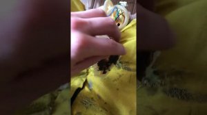 Засор сетки топливного насоса BMW X3 F25 2.0d