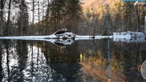 Как и где ловить#Обыкновенный лопатонос#my fishing world