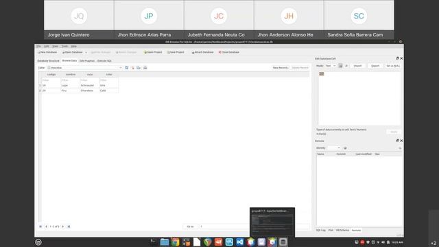 Java SQLite CRUD смотреть онлайн