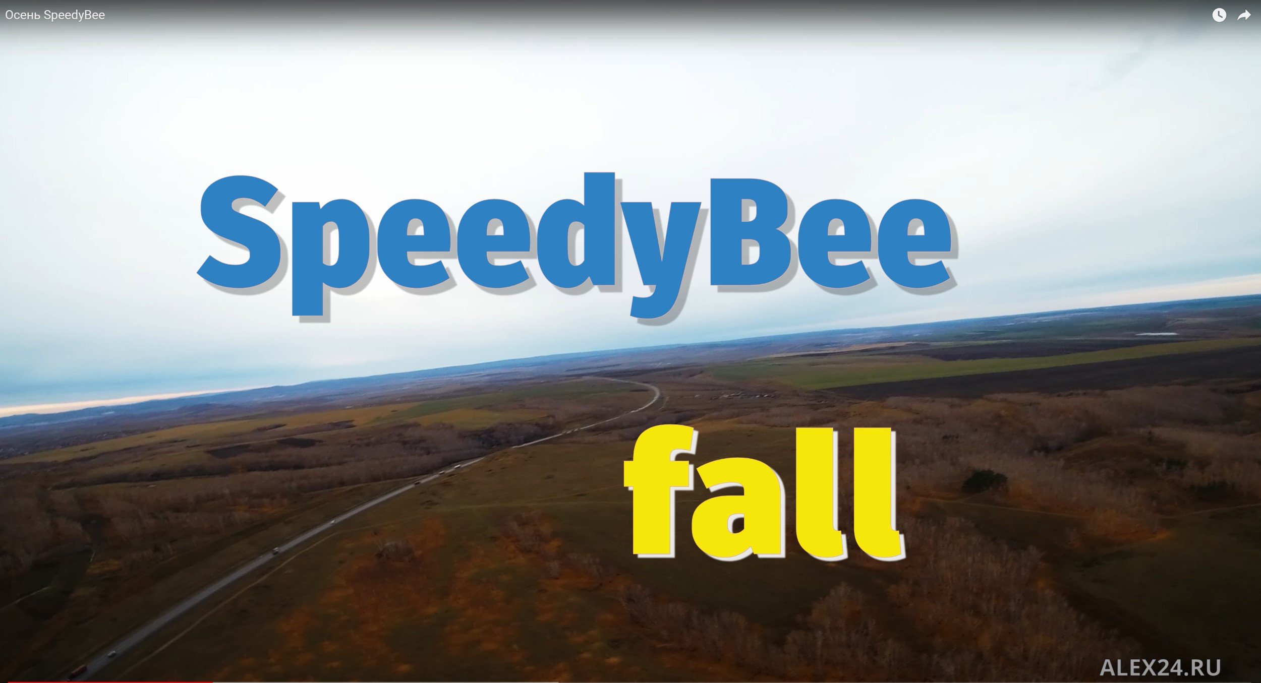 Осень SpeedyBee