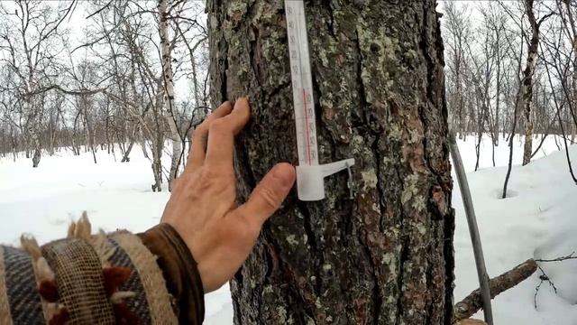 Закопал палатку-готовлюсь к рыбалке летнего сезона 2023 года.. средство от мышей в лесной избушке! смотреть онлайн