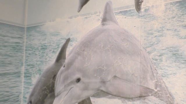 Отделка ванной комнаты за один день пвх панели смотреть онлайн