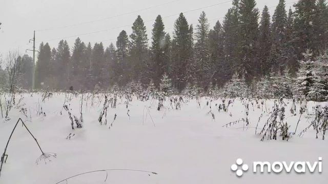 мотособака ПАКУС, к зиме готов! смотреть онлайн