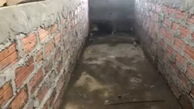 Звездаи ЮТУБ смотреть онлайн