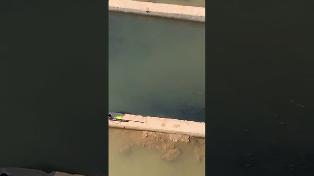 VID_20240327_162501_555