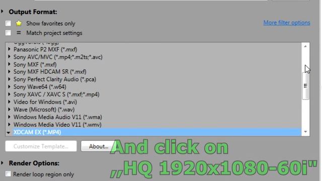 How To Convert  [Sony Vegas Files] To MPEG4, MP4, AVI, WMV, 3GPP, FLV, MOV, WebM...