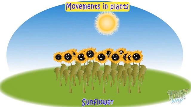 Living and Non Living Things | Science | Grade 2 & 3 | TutWay смотреть онлайн