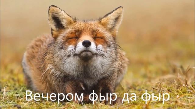 Перевод песни Tarkan-Dudu на русский язык вы ещё такого не видели прикол 2018 смотреть онлайн