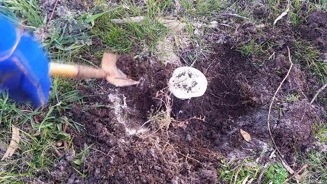 Casting a TRAPDOOR / WOLF SPIDERs nest out of MOLTEN ALUMINIUM! - Creating the cthulhu tentacle смотреть онлайн