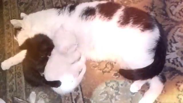 Хорошо, когда мама рядом смотреть онлайн