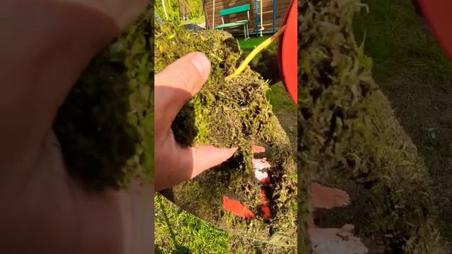 Как почистить триммер после коски ?) смотреть онлайн