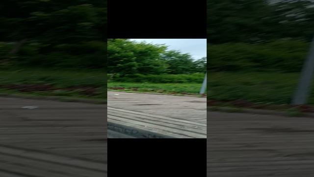 Обзор парка около моего дома под названием 