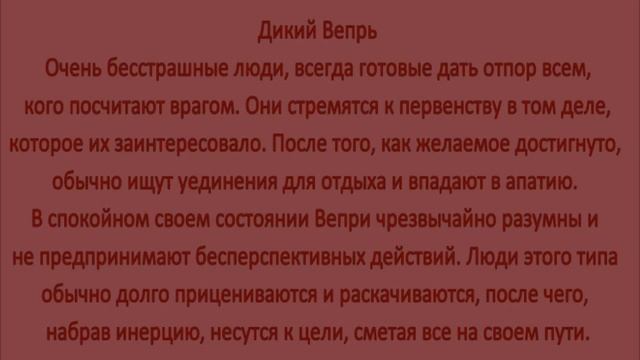 2019 год - Парящего Орла. 21 марта - Весеннее равноденствие. Славянский Новый год. смотреть онлайн