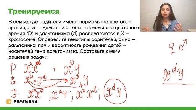 Решение задач на сцепление генов | ЕГЭ БИОЛОГИЯ 2021 | PEREMENA смотреть онлайн