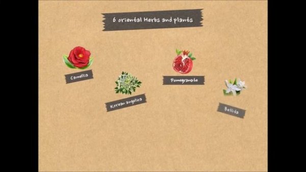 Kerasys Oriental Premium - Manage your garden, manage your hair.