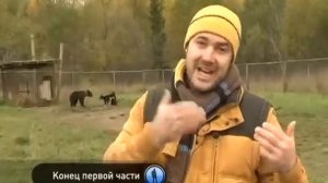 Русско Европейская Лайка - Полное Описание Породы