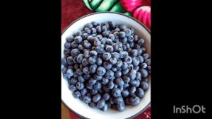 Чем отличаются черника и голубика?