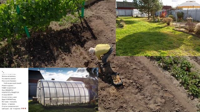 #авторскиестихи #стихи2022 #Тата2018#стихи Про дачу. Вы зачем корячитесь? смотреть онлайн