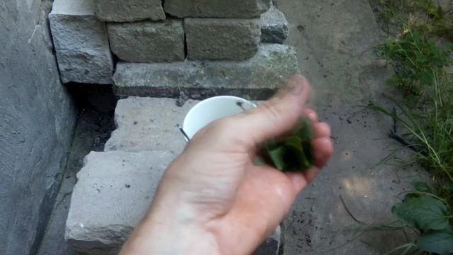 Когда на даче закончился чай смотреть онлайн
