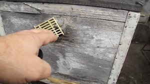 синички на пасеке - что делать ?