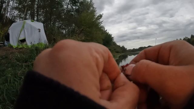 С НОЧЕВКОЙ НА РЕКЕ. Рыбалка на фидер. ОТДЫХ БЕЗ ЛЮДЕЙ В ГЛУШИ #347 смотреть онлайн