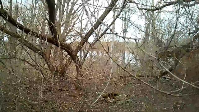 ЭТО ДОМ КУЛАКА 105 ТЫС.Р.В ДЕРЕВНЕ !!МУЖИК ПРОДАЁТ ДОМ КУЛАКА смотреть онлайн