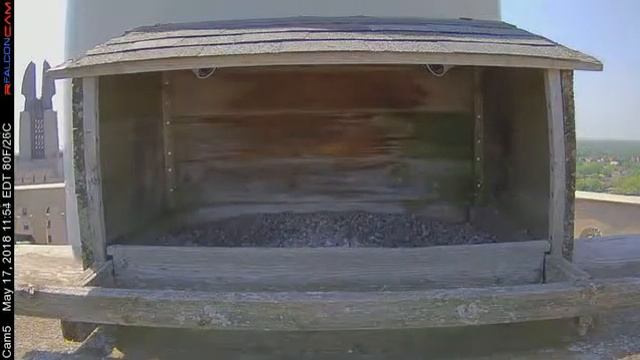 Camera 5 - 05/17/18 смотреть онлайн