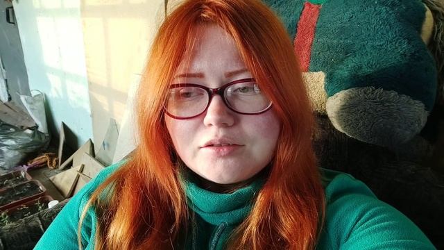 Мои работы в Бийске и в Питере смотреть онлайн