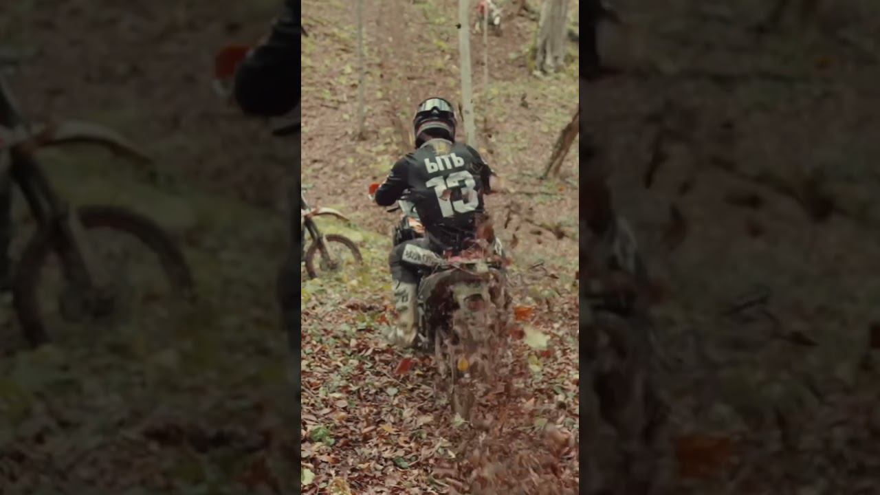 21 ноября 2023 г. смотреть онлайн