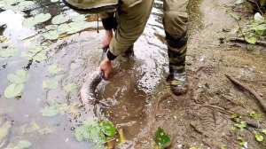 Просто нож! Как сохранить рыбу при +25 на улице...