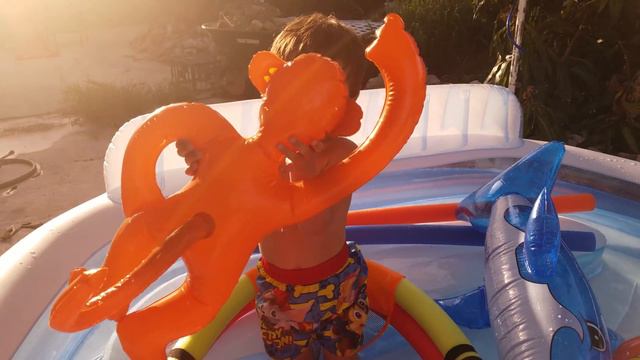 Preschool Learning Colors and Tropical Animals in the Pool смотреть онлайн