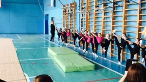 Художественная гимнастика