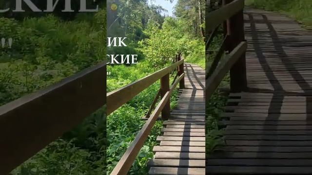 Клещи и "Воробушки" смотреть онлайн