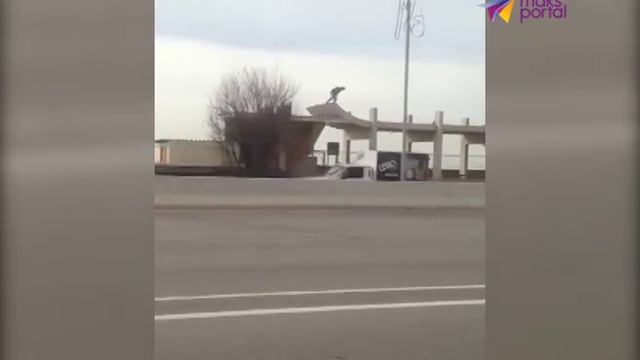 Автобусную остановку приспособили для катания на скейтборде смотреть онлайн
