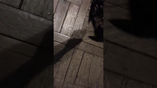 Маленькие игрунки смотреть онлайн