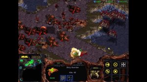 Starcraft Brood War 1 Zerg vs 7 Random Computers 1 vs 7 Low APM