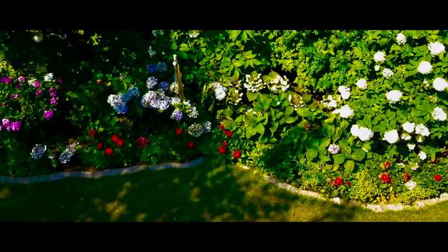 Arcane Garden B-ROLL смотреть онлайн