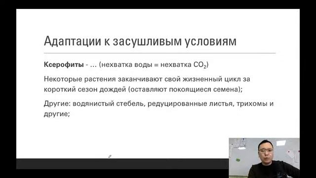 Транспорт веществ в растениях (часть 2) смотреть онлайн