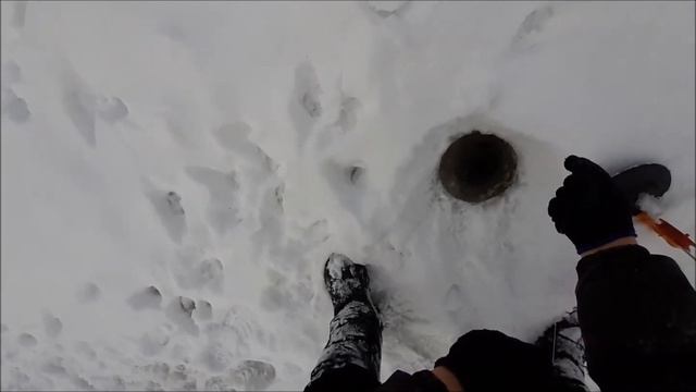 Тащил щуку леска трещала, запутала все жерлицы смотреть онлайн