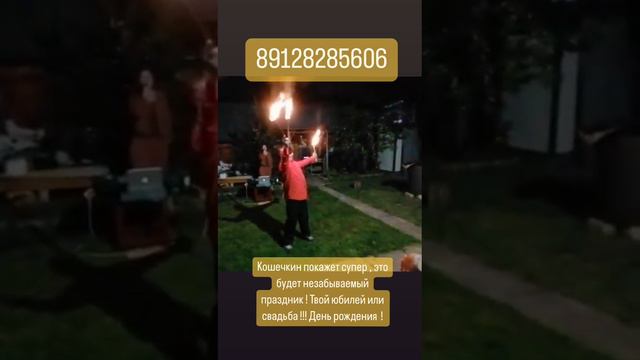 Кошечкин на вечеринке.mp4