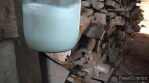 козы. кровь в молоке. как буду лечить? моя Eco farm