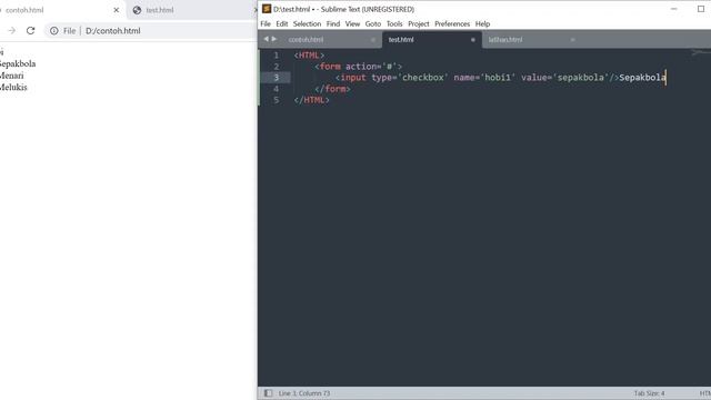 05 Pembuatan Form HTML (Input type Checkbox) смотреть онлайн