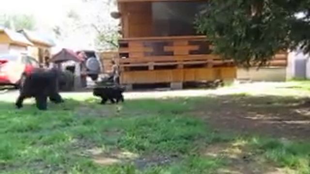 Кто в доме хозяин смотреть онлайн