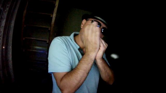 With A Little Help From My Friends cover on Marine Band harp смотреть онлайн