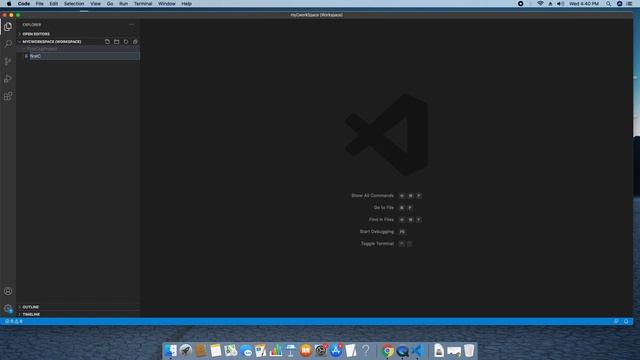 Running C/C++ program in Visual Studio Code on Mac OS X Catalina смотреть онлайн
