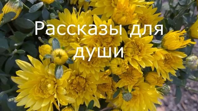 ? Пьяный муж разрушил наш брак... смотреть онлайн