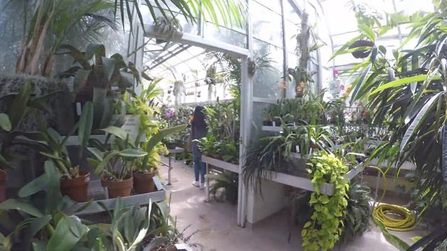 Hillwood Estate, Washington DC смотреть онлайн