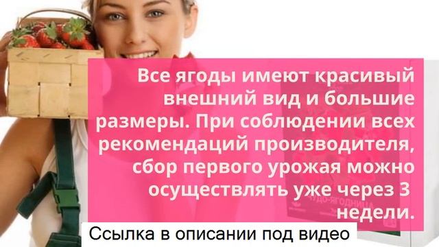 Чудо ягодница сказочный сбор отзывы - чудо-ягодница сказочный сбор голландская клубника. смотреть онлайн